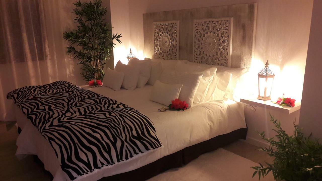 Plaza San Marcos Casco Historico Apartment อิคอดเดลอสวินอส ภายนอก รูปภาพ